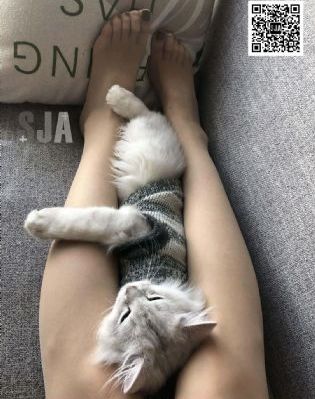 风筝电视剧51集免费观看完整版_BD手机在线看
